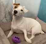 Аватара пользователя