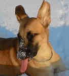 Аватара пользователя