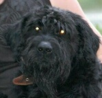 Аватара пользователя