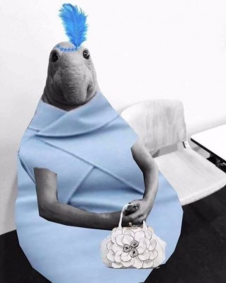 ЖДЕМСССССССС