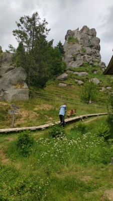 вместе к вершине