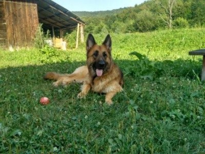 Наблюдательный пост