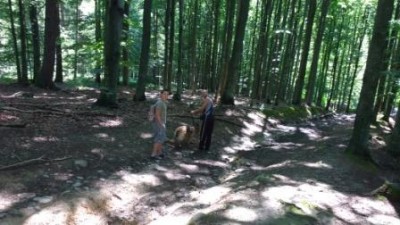 по дороге на водопад