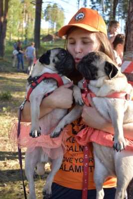 я и мопсы4.jpg