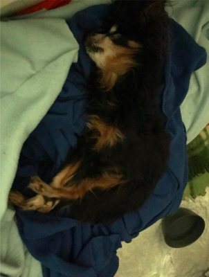 Снимок экрана 2017-09-08 в 17.10.13.png