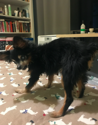 Снимок экрана 2017-09-27 в 12.22.33.png