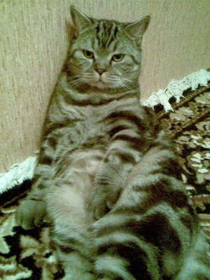 2017-06-04 08-33-54 (47).JPG