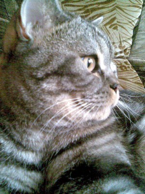 2017-06-04 08-33-54 (63).JPG