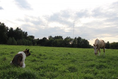 2017-08-27 14-35-34 (3).JPG