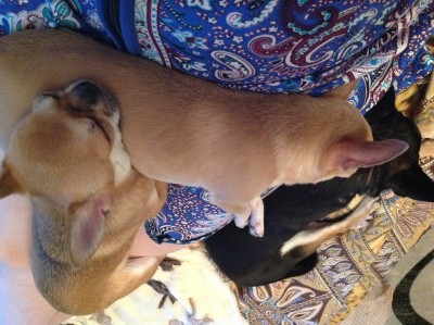 Мои девчушки)