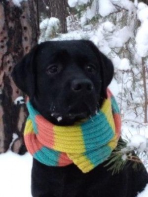 Давай не будем фотаться, а пойдем понюхаем тот угол, а?