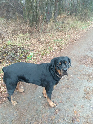 Фото Найды 059.jpg