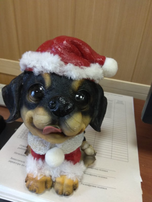 Фото Найды 125.jpg