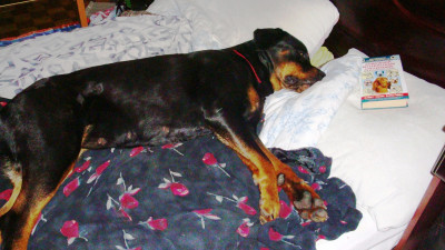 хорошо на кроватке