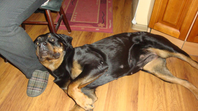 Мягкая папина нога