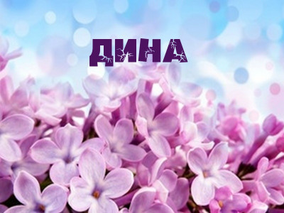 Цветы Дине