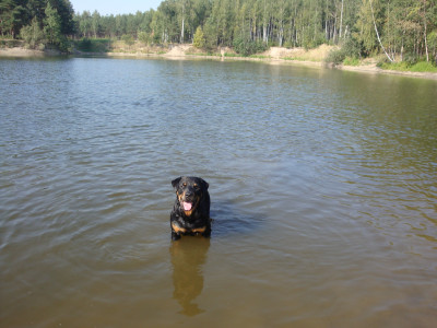 Это наш карьер на даче