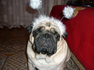 2017-12-29 07-46-54.JPG