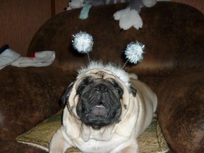 2017-12-29 12-30-44.JPG