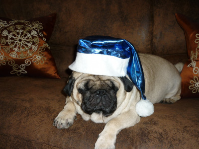 спящий дед мороз