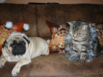 мои снежинки