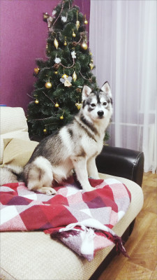 2017-12-27 07.32.08 2.jpg