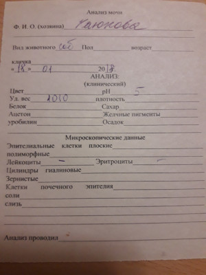 Анализ мочи