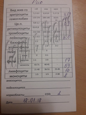 Общий анализ