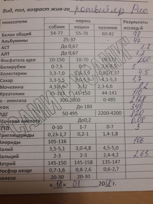 Биохимия крови