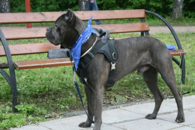 Изображение в Безымянный-6.jpg