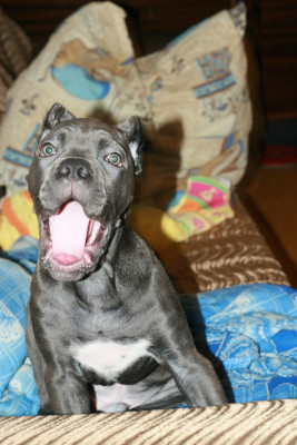 Изображение 047.jpg