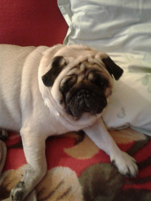 на сегодняшний день