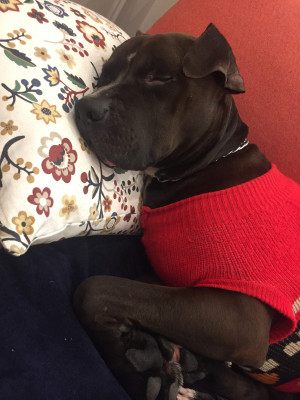 Подушки только под голову)))