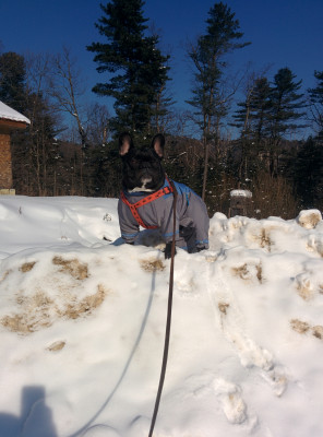 Царь горы.jpg