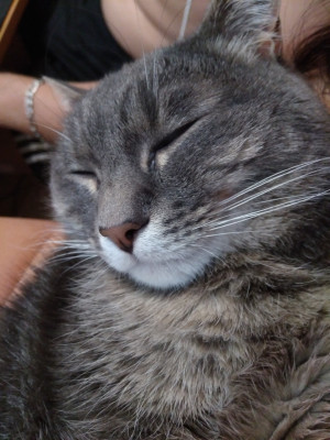 IMG_20180625_211747.jpg (1.18 МБ) 5637 просмотров IMG_20180625_211747.jpg