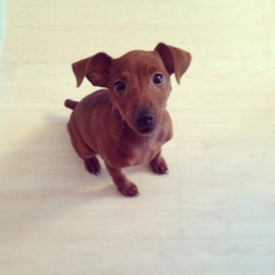 380D6382-23B4-46AF-8D69-07B6068EE6C2.jpeg (47.42 КБ) 4159 просмотров Тут ей годик))