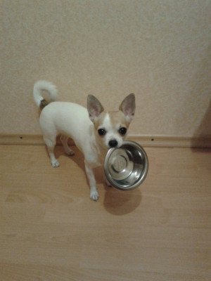 сразу не отправилось