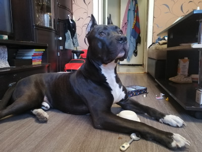 Вот такой дружок наш