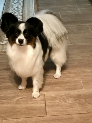 DD68EE30-2AE4-4591-96F7-024BE995A1BE.jpeg (527.59 КБ) 5038 просмотров Наш Митенька