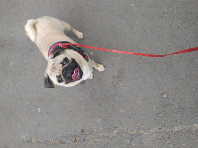 Нам 10 месяцев)