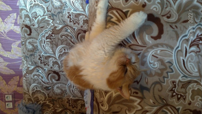 2022-08-29 11-21-50.JPG