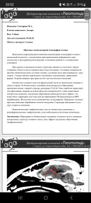 Screenshot_20250204_205231_Microsoft 365 (Office).jpg