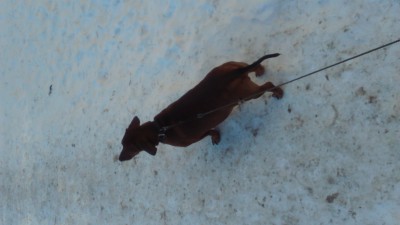 DSC_0003.JPG (1.21 МБ) 3905 просмотров DSC_0003.JPG