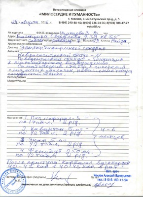 Заключение Найды.jpg