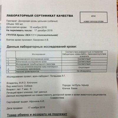 лаб серт кровь.jpg