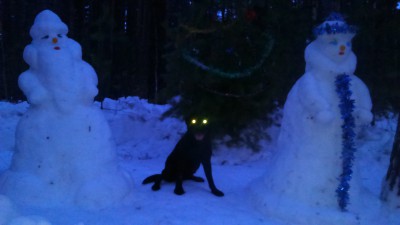 Гоша и бабы