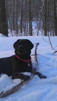 Кручу-верчу, запутать хочу)))))