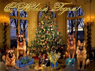 С новым годом.jpg