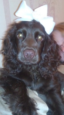 Племянница делала прическу