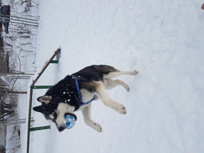 20170117_093236_007_01.jpg (1.88 МБ) 2157 просмотров 20170117_093236_007_01.jpg